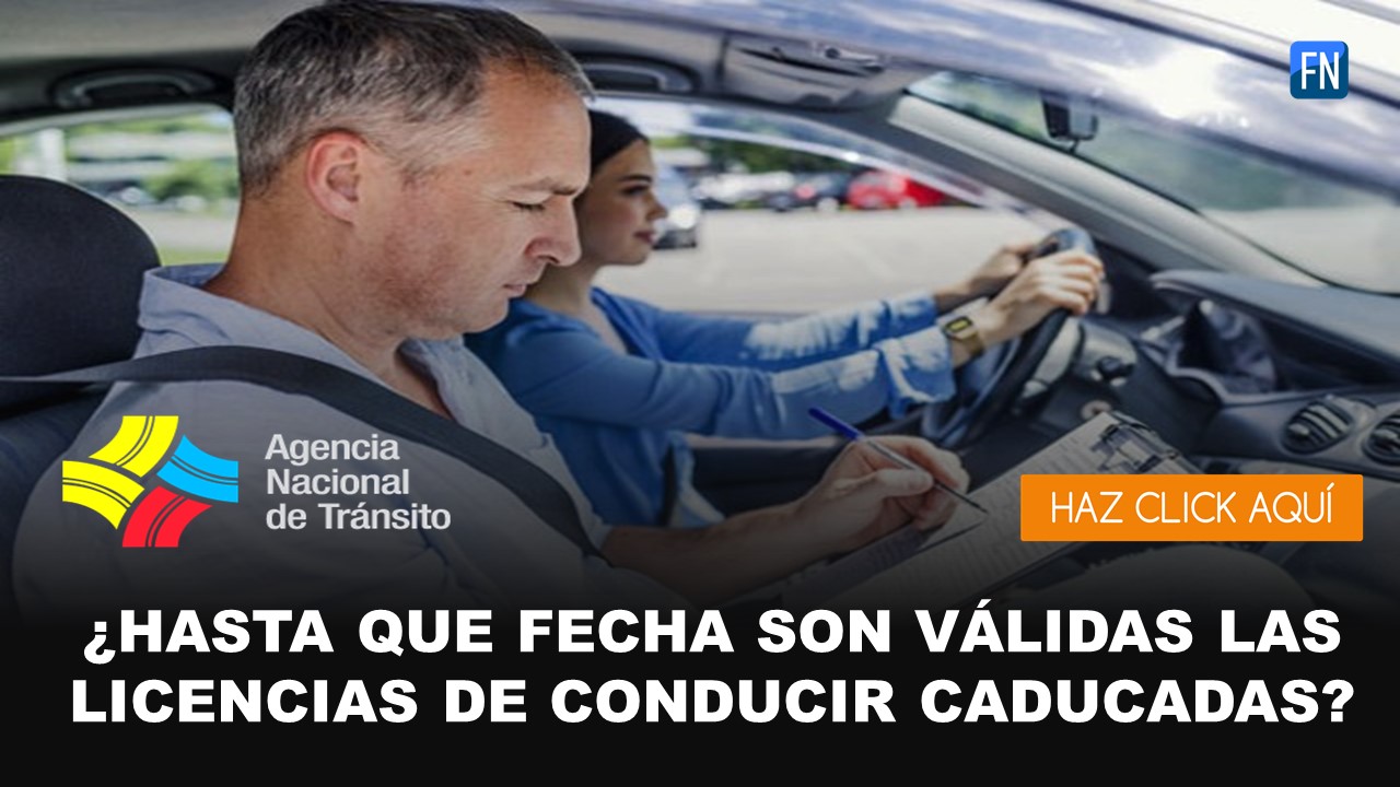 licencias caducadas hasta diciembre