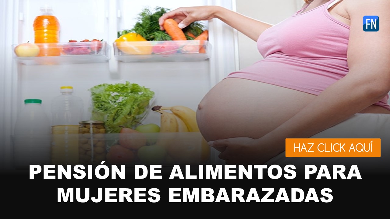 pensión de alimentos para embarazadas