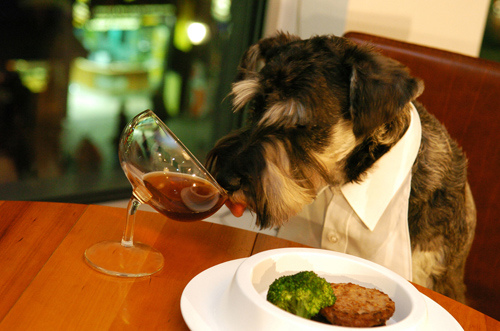 Cuenca abre el primer restaurante con menú para perros