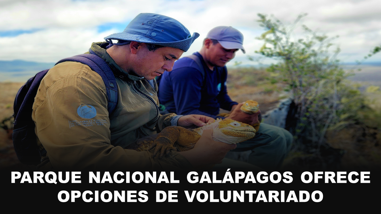 Galápagos empleos